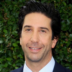 David Schwimmer Contact Info | Find Influencer Numbers, Address, Email ...
