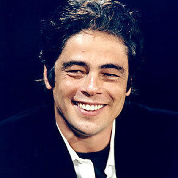 Benicio Del Toro Contact Info | Find Influencer Numbers, Address, Email ...